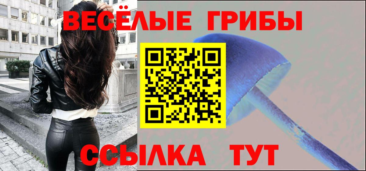 Псилоцибиновые грибы мицелий Саки